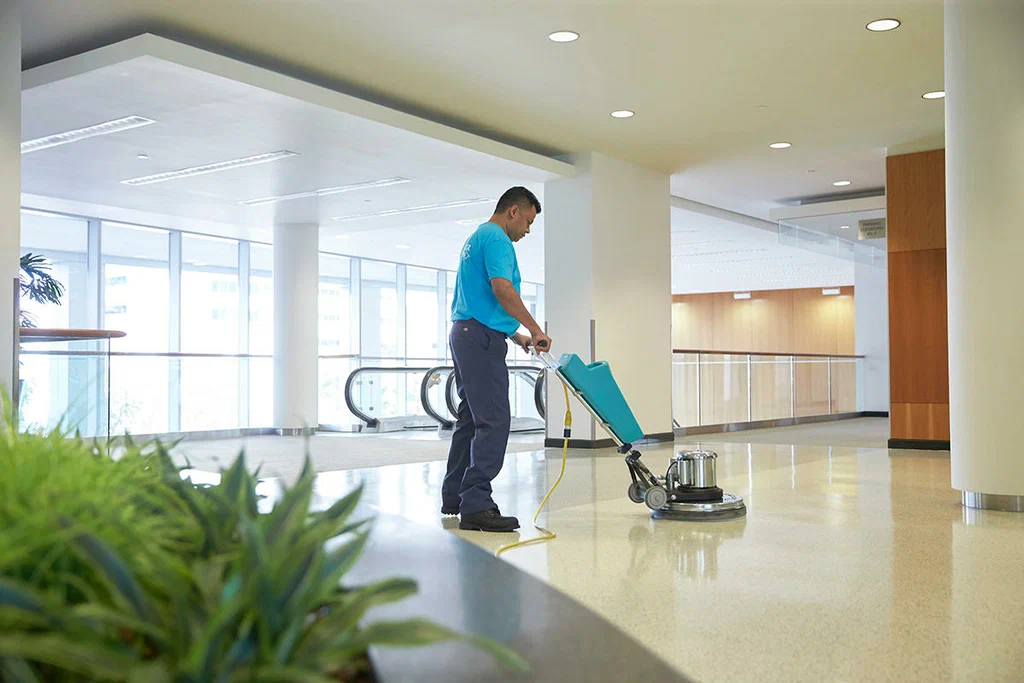 Cleaner Brighton Services